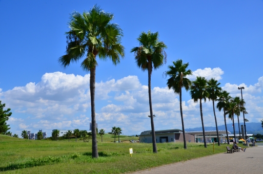 二色浜公園